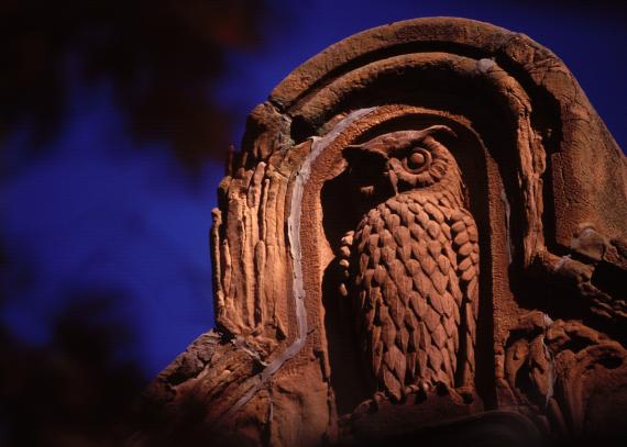 A closeup of the owl at the top of Spooner Hall