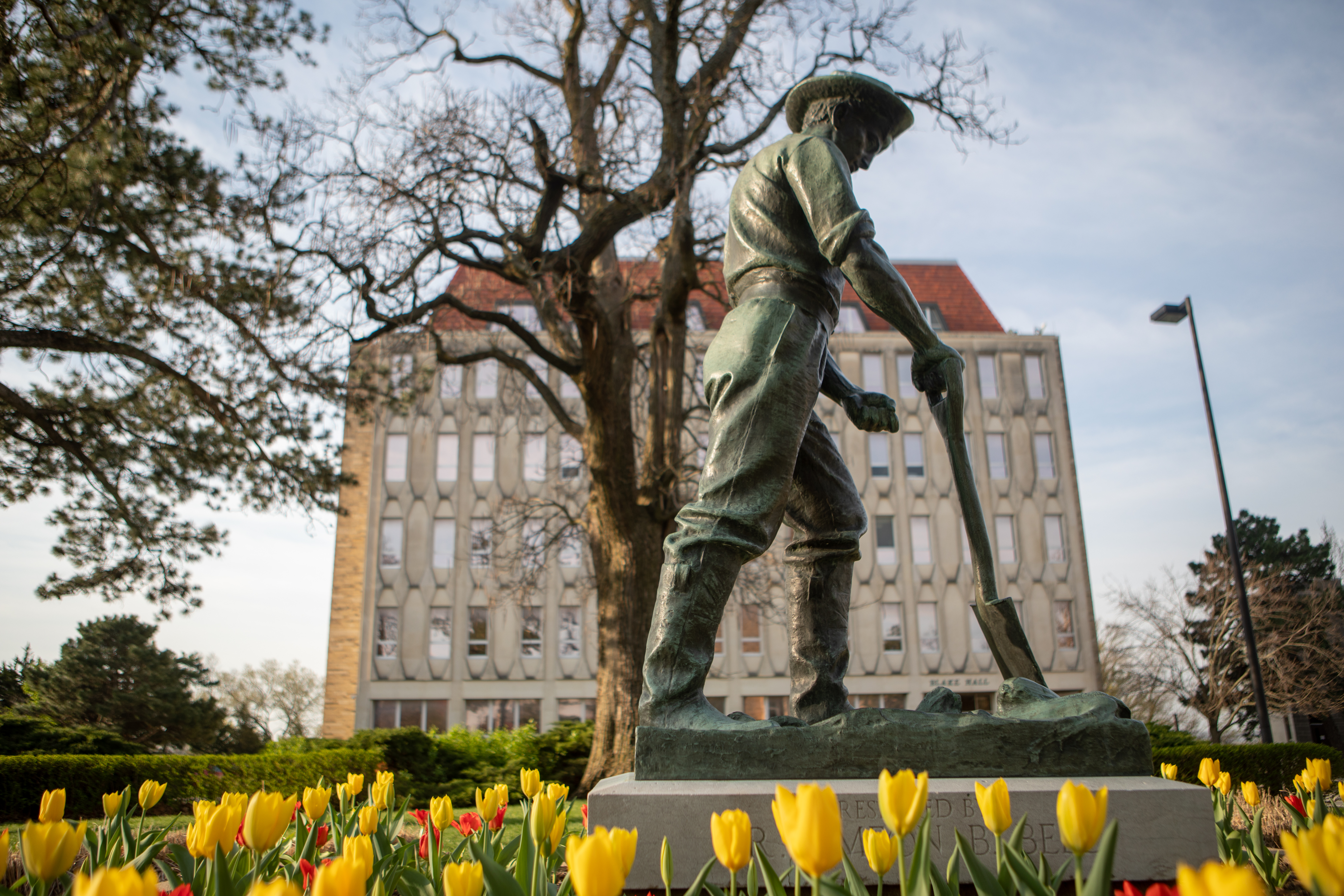 The Pioneer statue, surrounded by tulips with Fraser Hall behind it