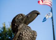 bronze Jayhawk sculpture outside Adams Alumni Center