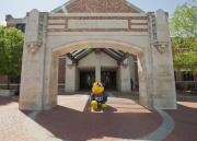 Classic Jayhawk