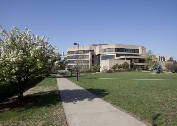 Green Hall is the hub for law professors, faculty, and students