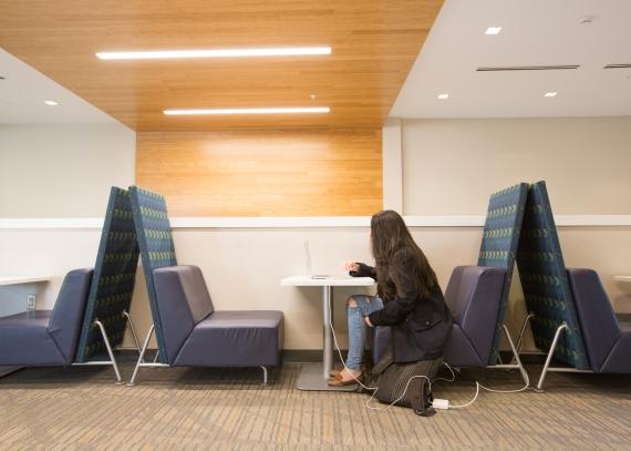 A student uses her laptop in an Oswald study area