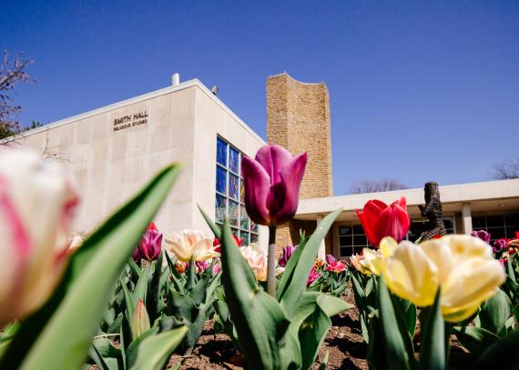 Exterior of Smith Hall with tulips blooming in the foreground