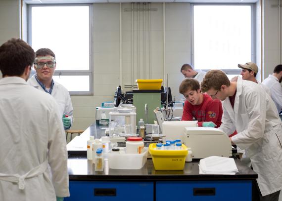 groups of pharmacy students working in a lab inside Malott Hall on KU’s Lawrence campus