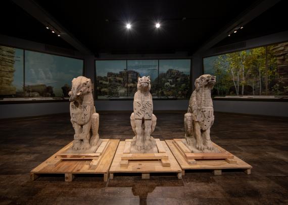 Three of the original limestone grotesques on display inside the Natural History Museum housed within Dyche Hall