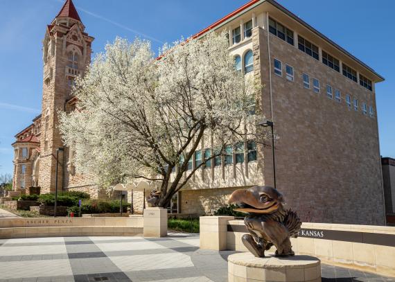 a tree blooms in white flowers at the entrance of Dyche Hall