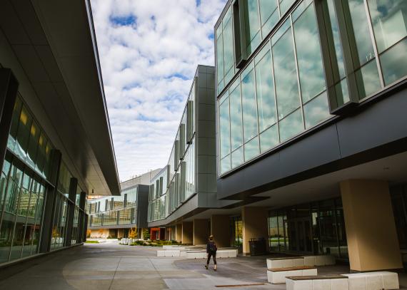 courtyard between Integrated Science Building and Burge Union