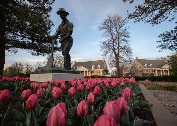 The Pioneer statue, surrounded by red tulips
